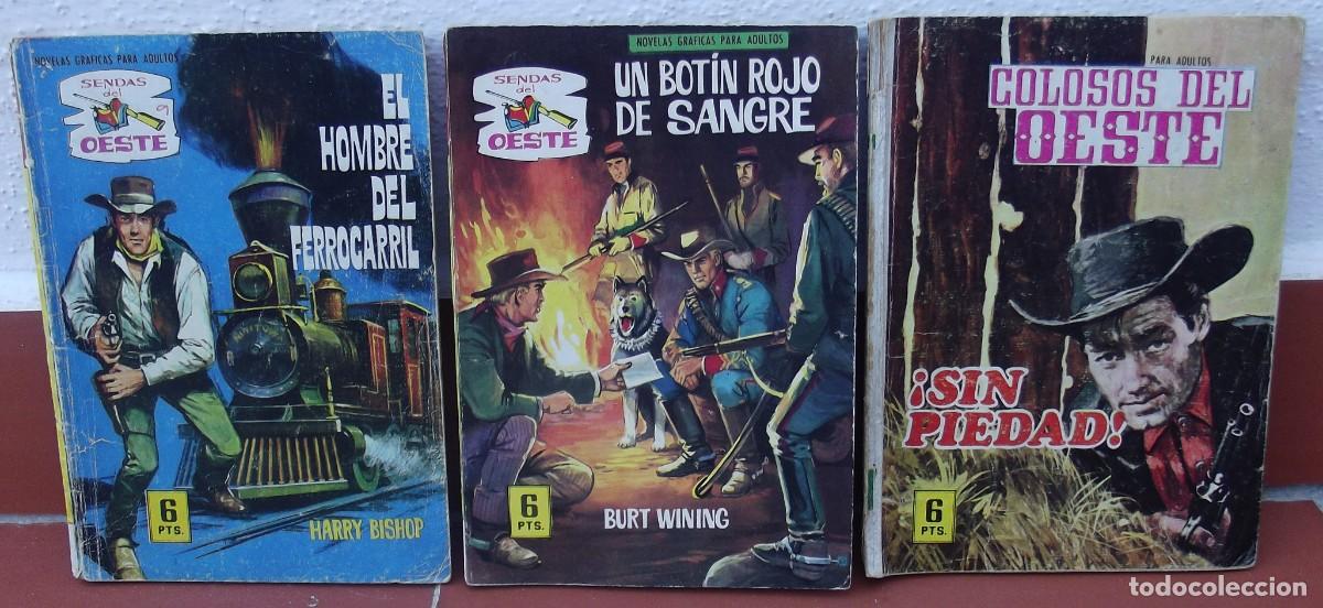 C&oacute;mics: 3 Nov&eacute;las Gr&aacute;ficas del Oeste - Foto 1