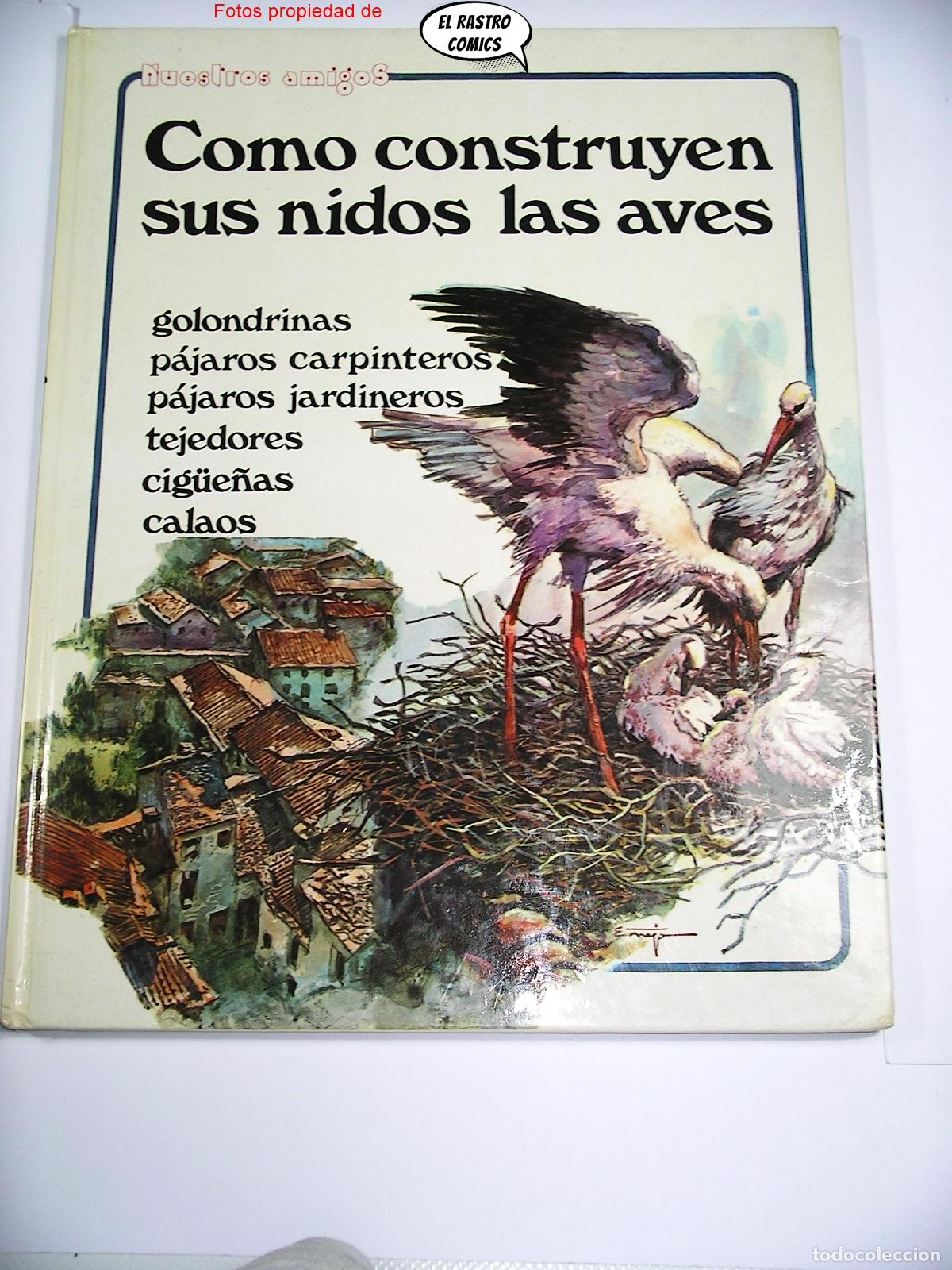 C&oacute;mics: Como construyen sus nidos las aves, Colecci&oacute;n Nuestros amigos, Editorial RM 1980, comic, A1