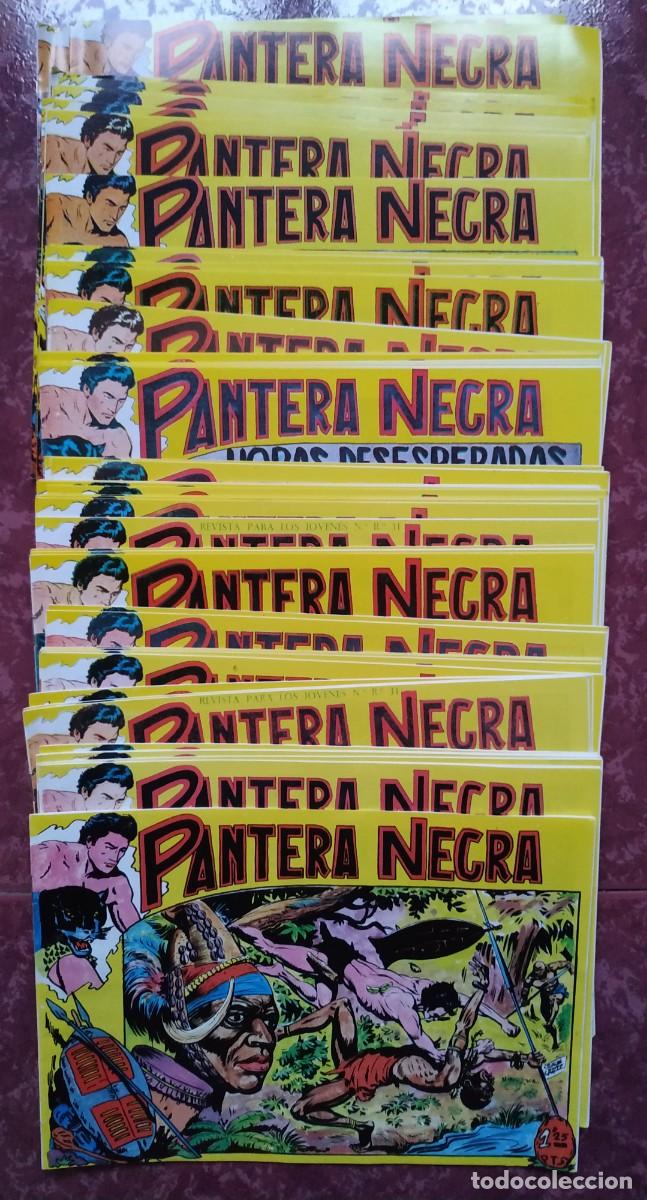 C&oacute;mics: COMIC COLECCI&Oacute;N COMPLETA EN FACS&Iacute;MIL DE PANTERA NEGRA - 54 NUMEROS - REEDICION - Foto 2