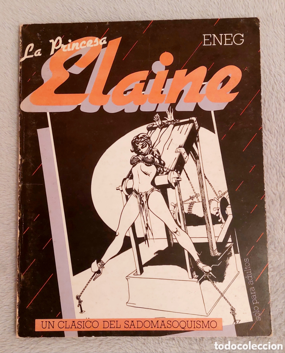 C&oacute;mics: C&Oacute;MIC LA PRINCESA ELAINE - Foto 1