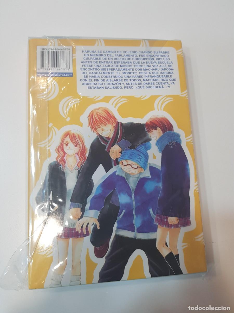 C&oacute;mics: Comic manga Monkey HIGHSCHOOL N&ordm; 2 - Foto 2
