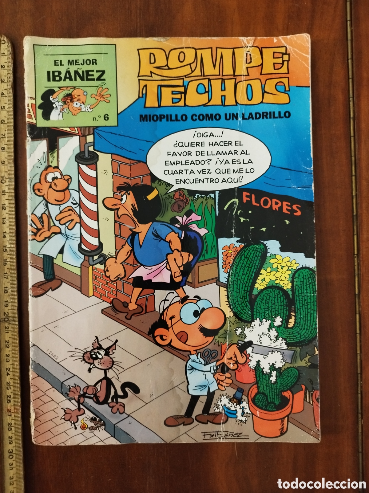 C&oacute;mics: Rompetechos. Miopillo como un ladrillo. - Foto 1