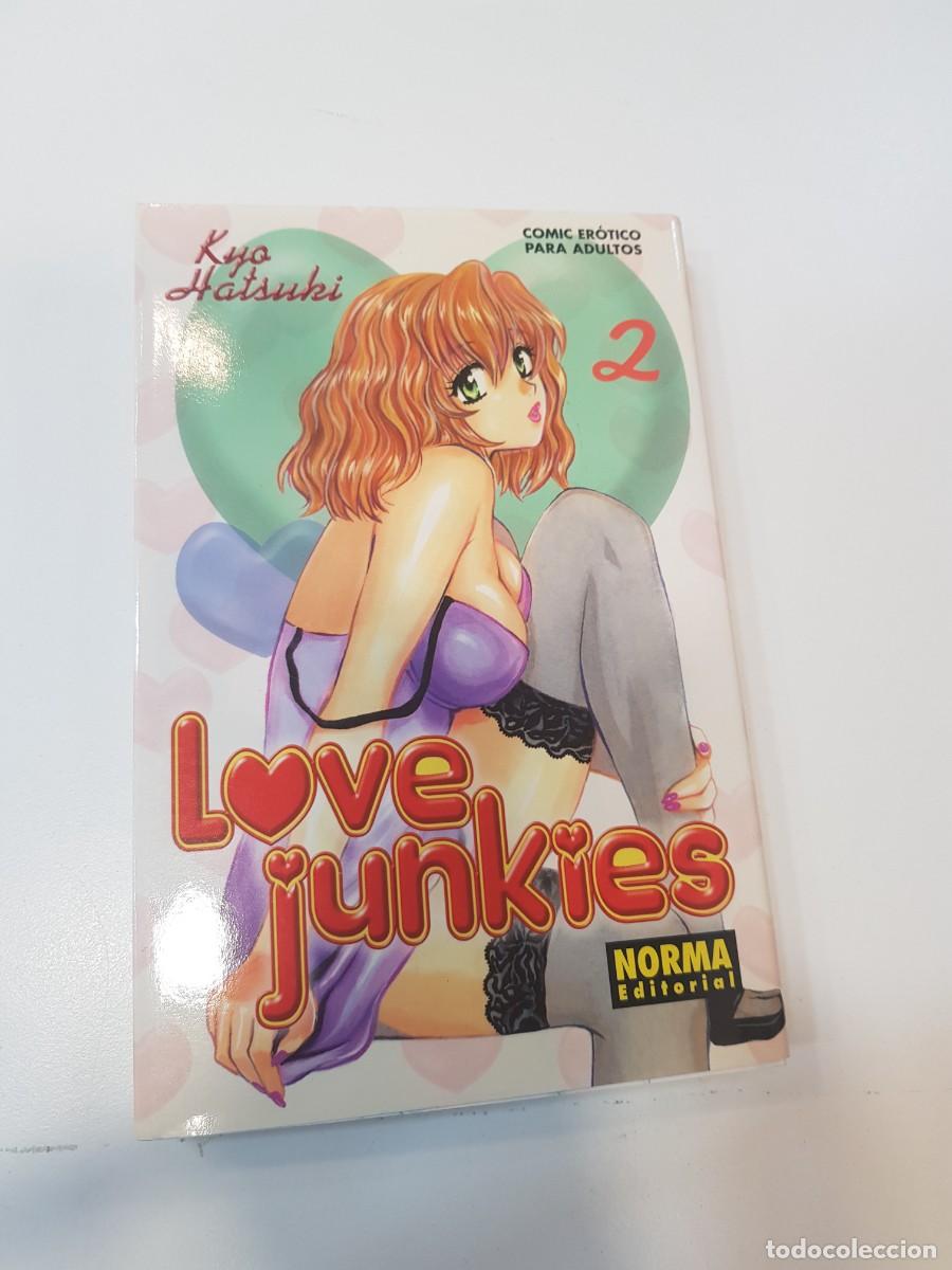 C&oacute;mics: Comic manga Love Junkies N&ordm; 2 - Foto 1