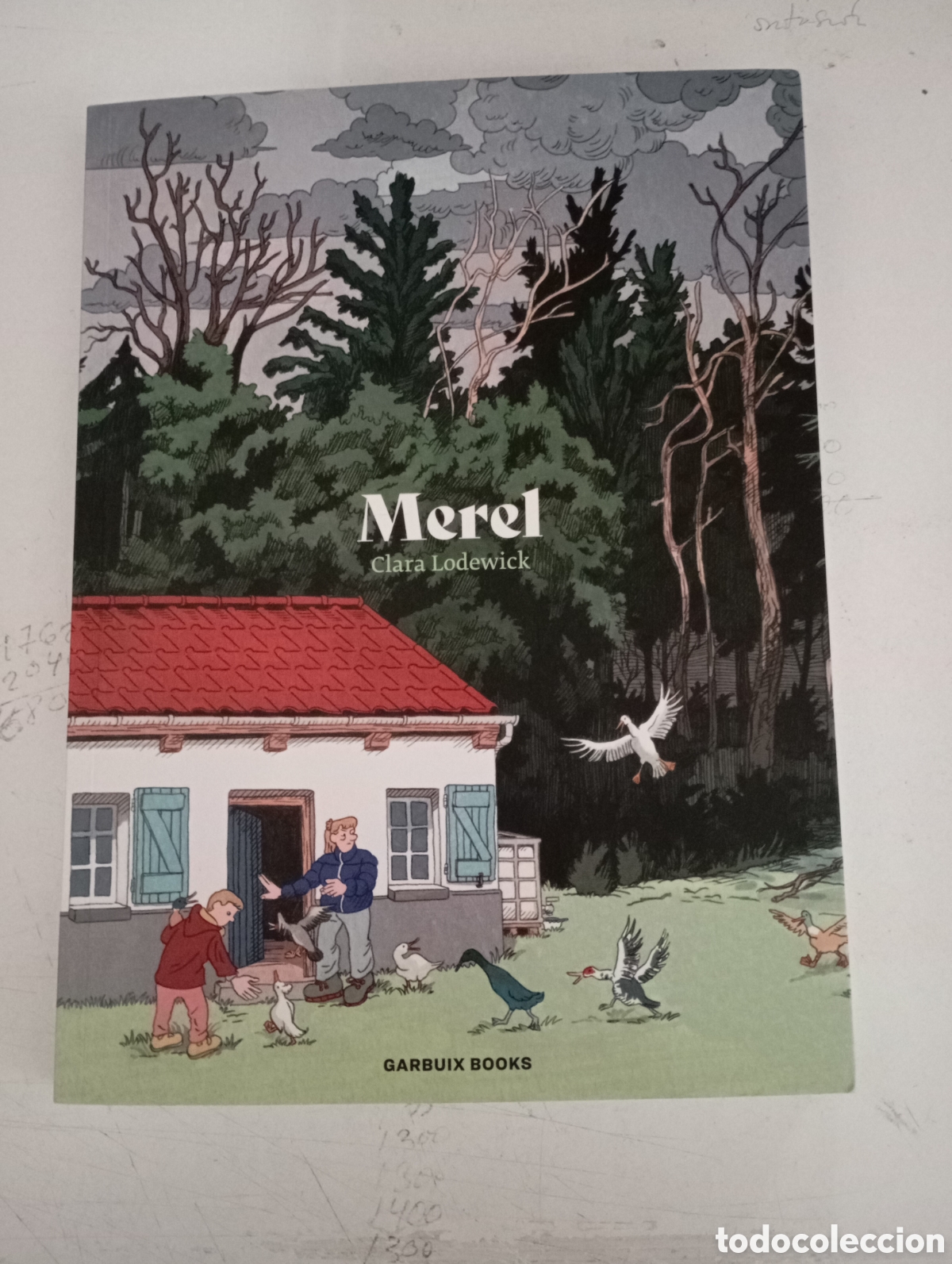 C&oacute;mics: MEREL - CLARA LODEWICK - GARBUIX BOOKS - Foto 1