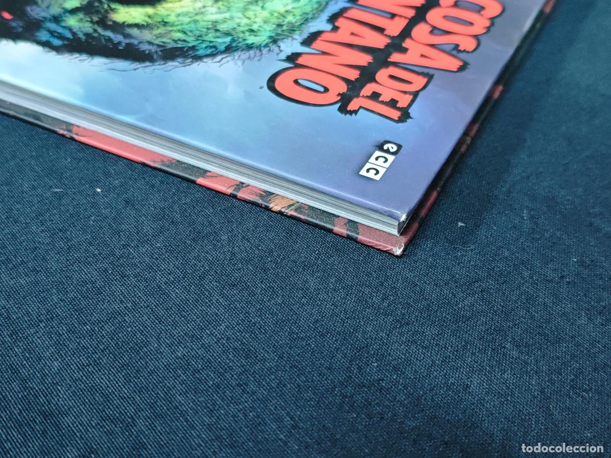 C&oacute;mics: LA COSA DEL PANTANO - CUANTOS DE LA CIENAGA - ECC - Foto 5