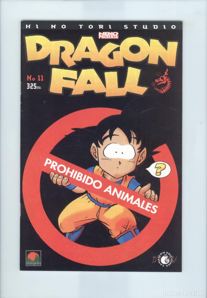 Fumetti: Camale&oacute;n. Dragon fall. 11.