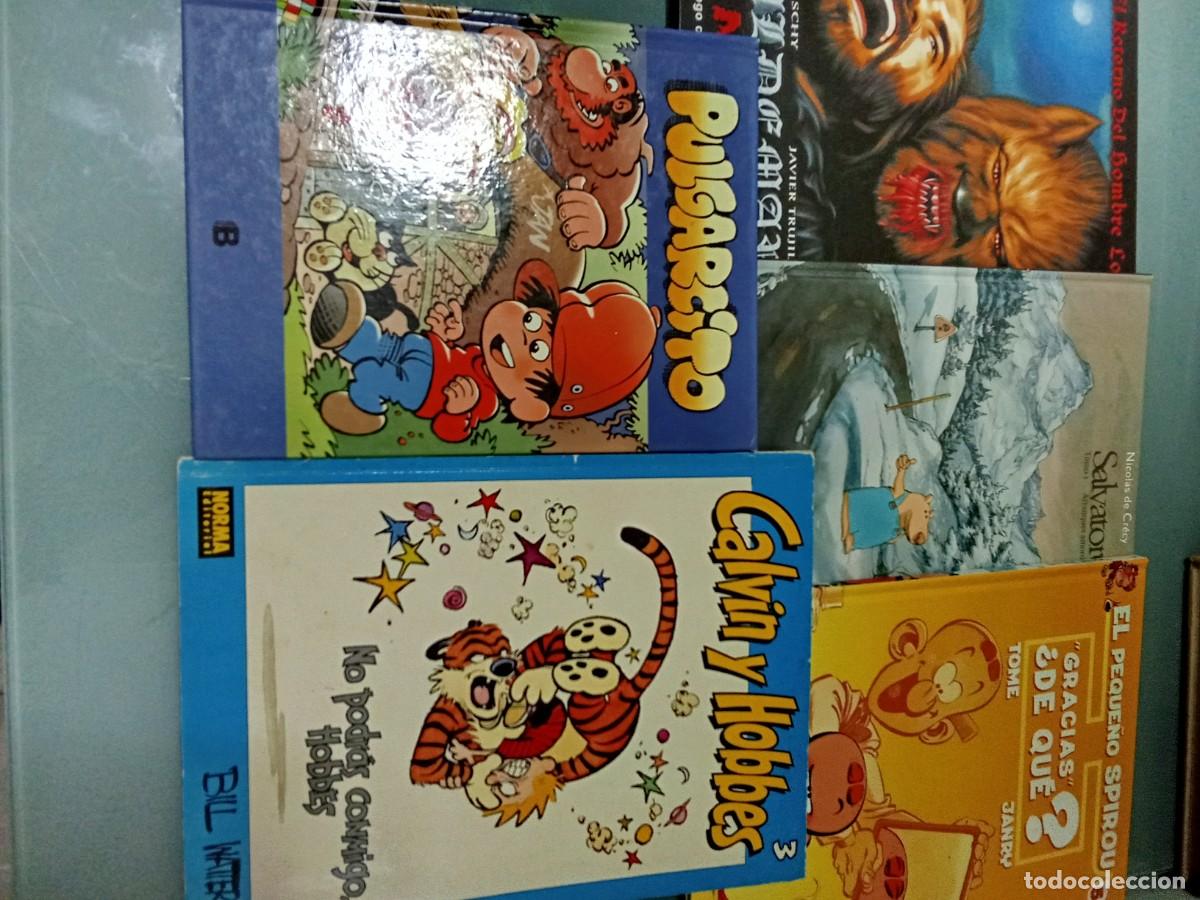 C&oacute;mics: LOTE 50 ALBUMES VARIADOS. - Foto 6