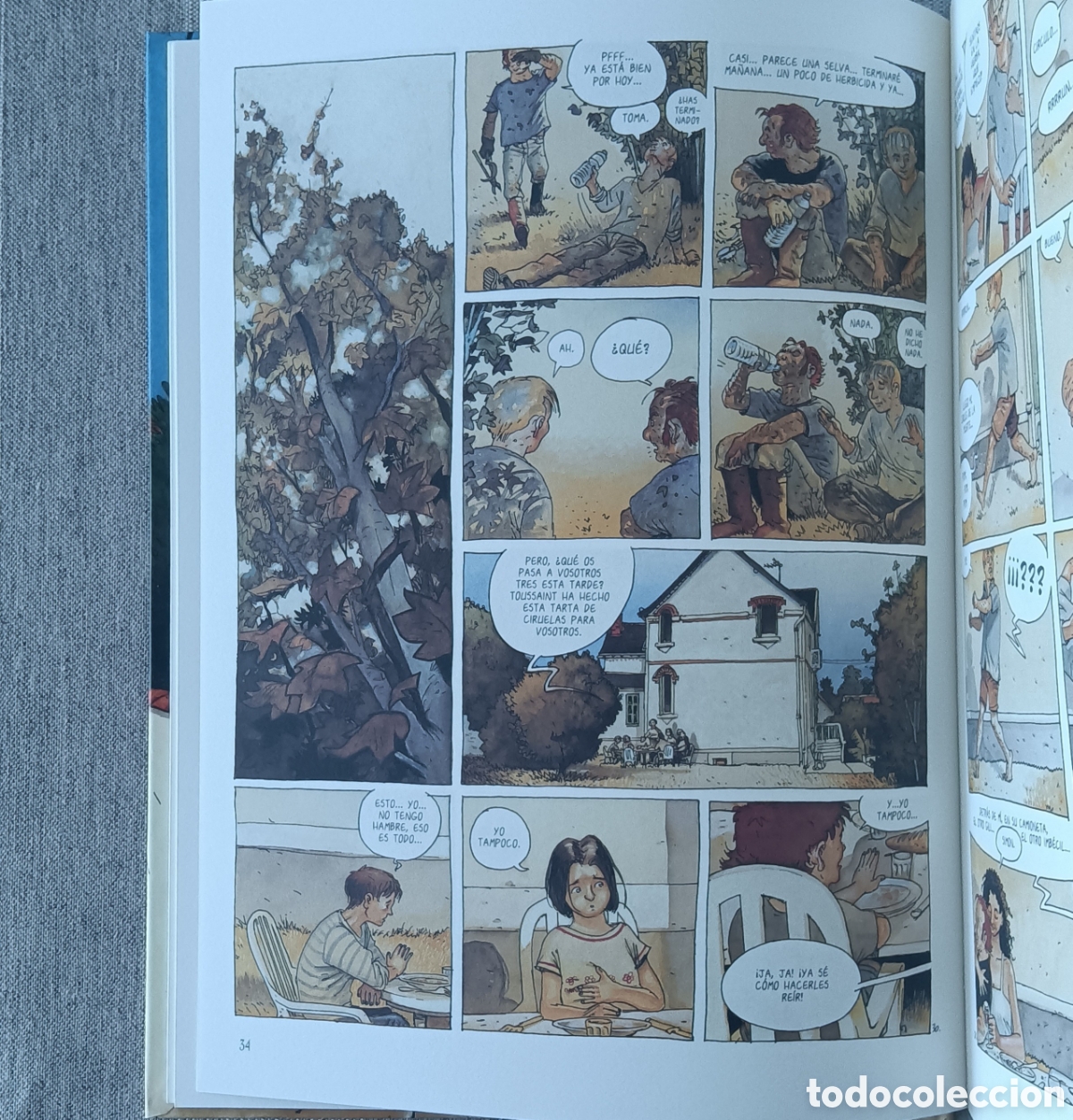 C&oacute;mics: Ca&iacute;da de bici - &Eacute;tienne Davodeau - Foto 3