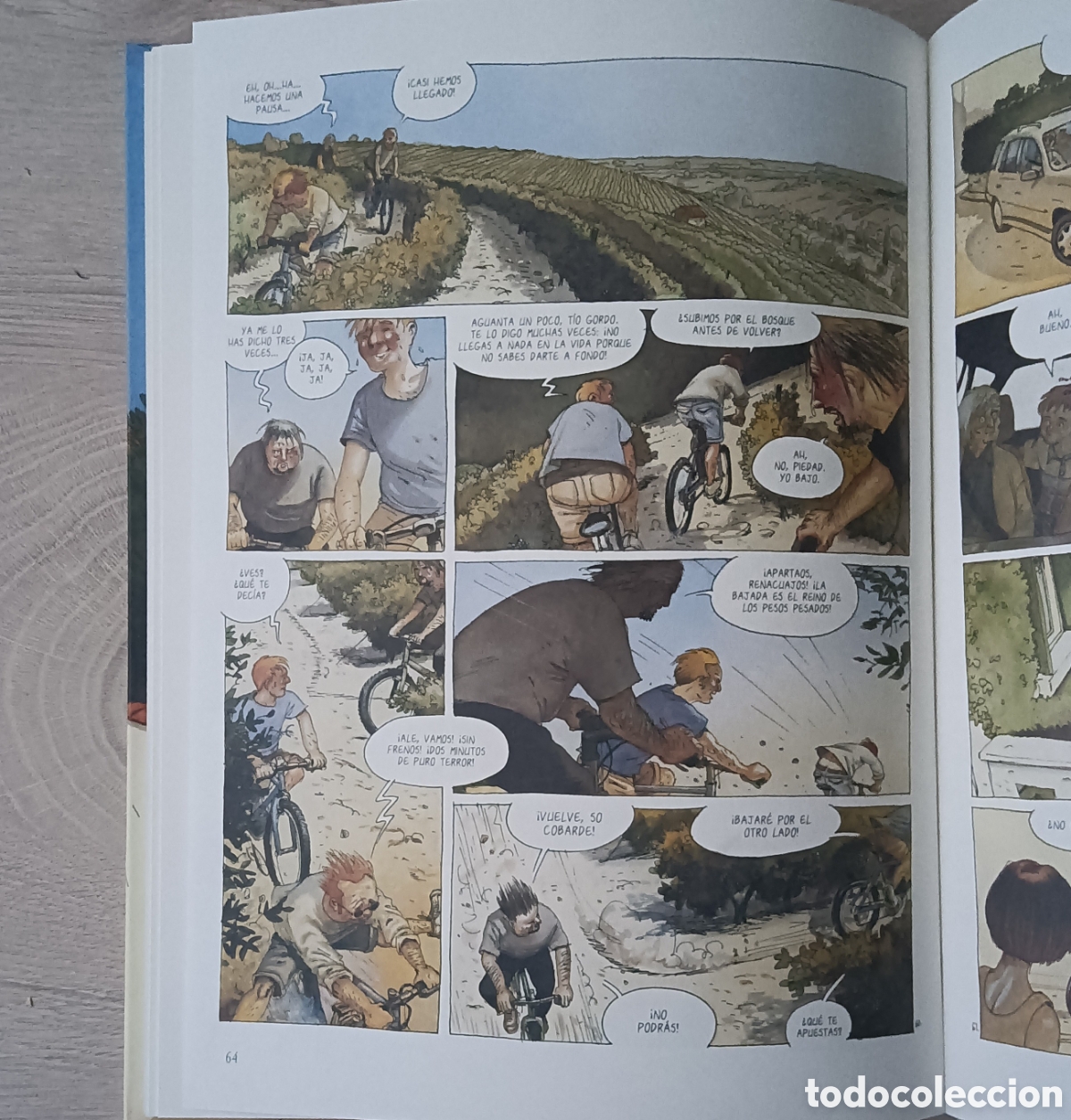 C&oacute;mics: Ca&iacute;da de bici - &Eacute;tienne Davodeau - Foto 6