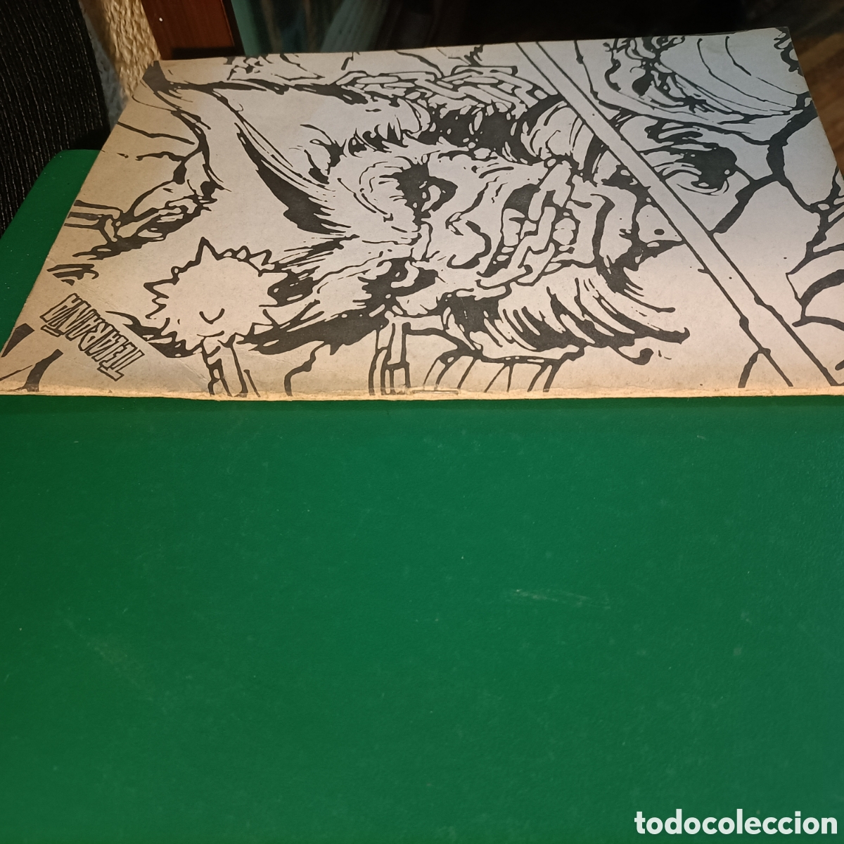 C&oacute;mics: Telara&ntilde;a editorial NARVAL Granada 4 - Foto 20