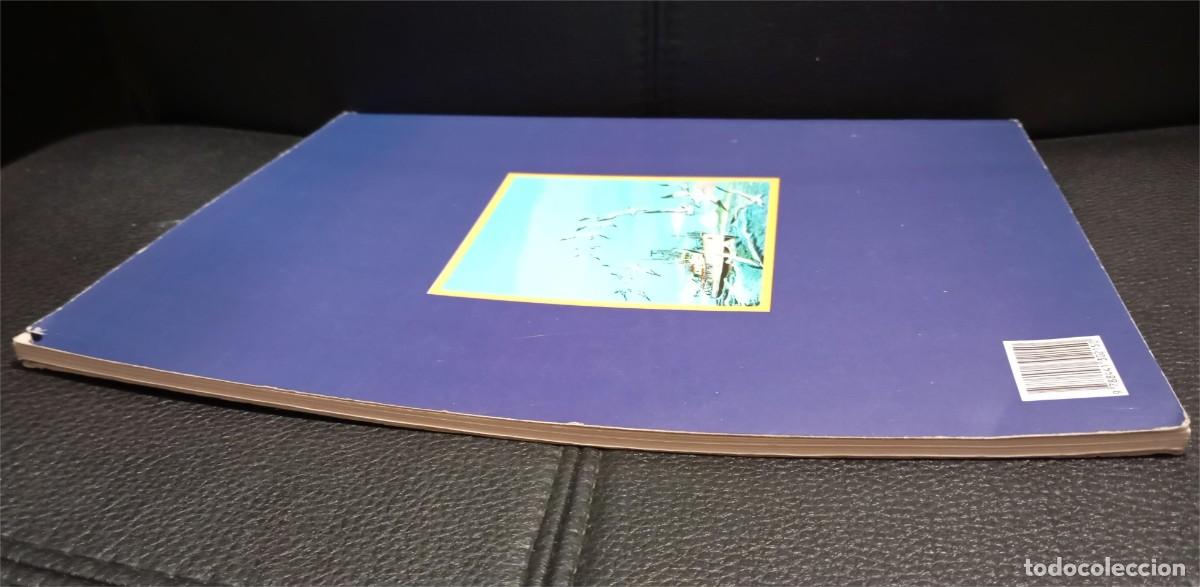 C&oacute;mics: COUSTEAU - LA ISLA DE LOS TIBURONES - COMIC - 1995 - EDICIONES FOLIO - Foto 4