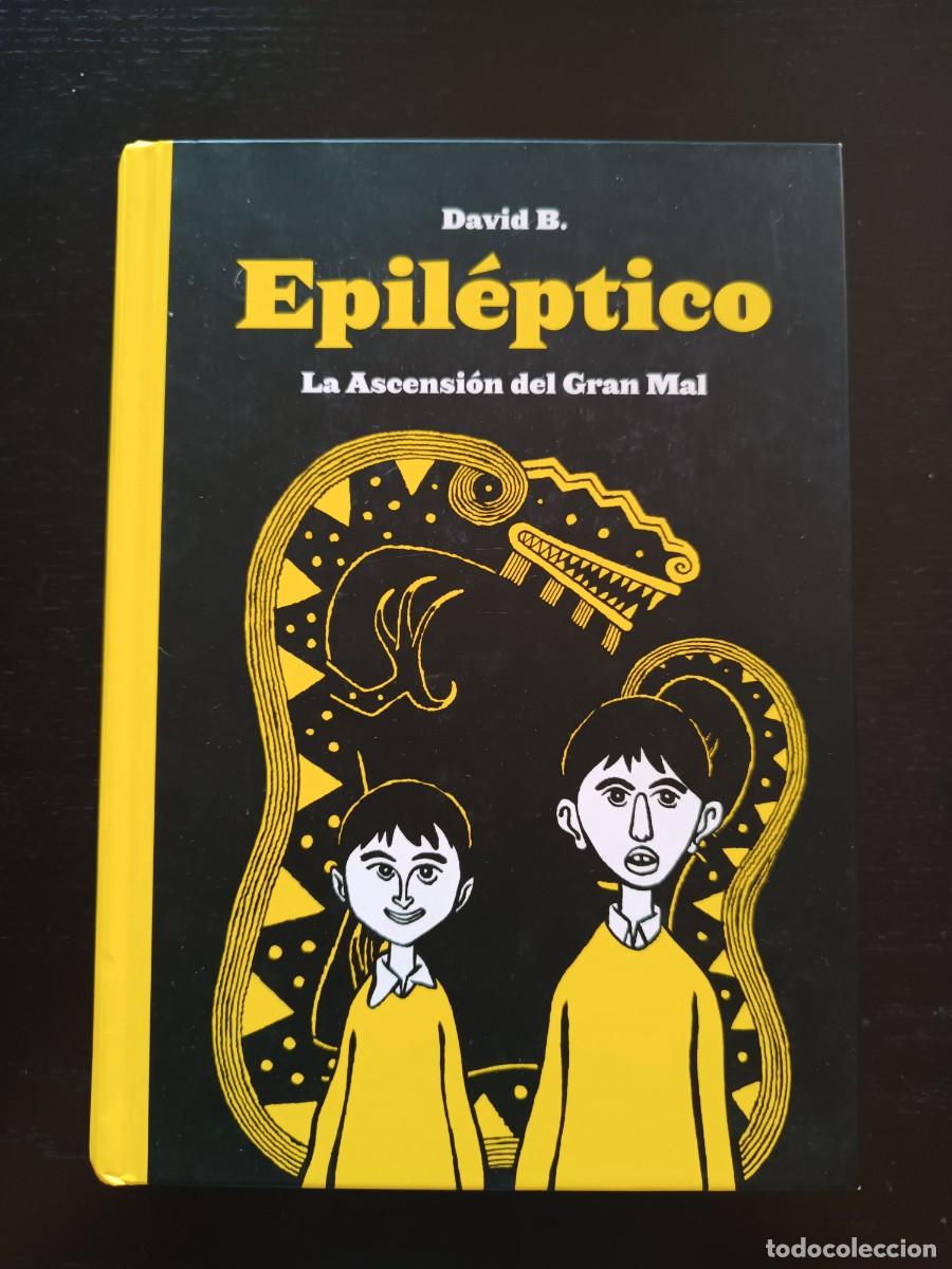 C&oacute;mics: Epil&eacute;ptico. La ascensi&oacute;n del Gran Mal - David B. Sins entido - Foto 1
