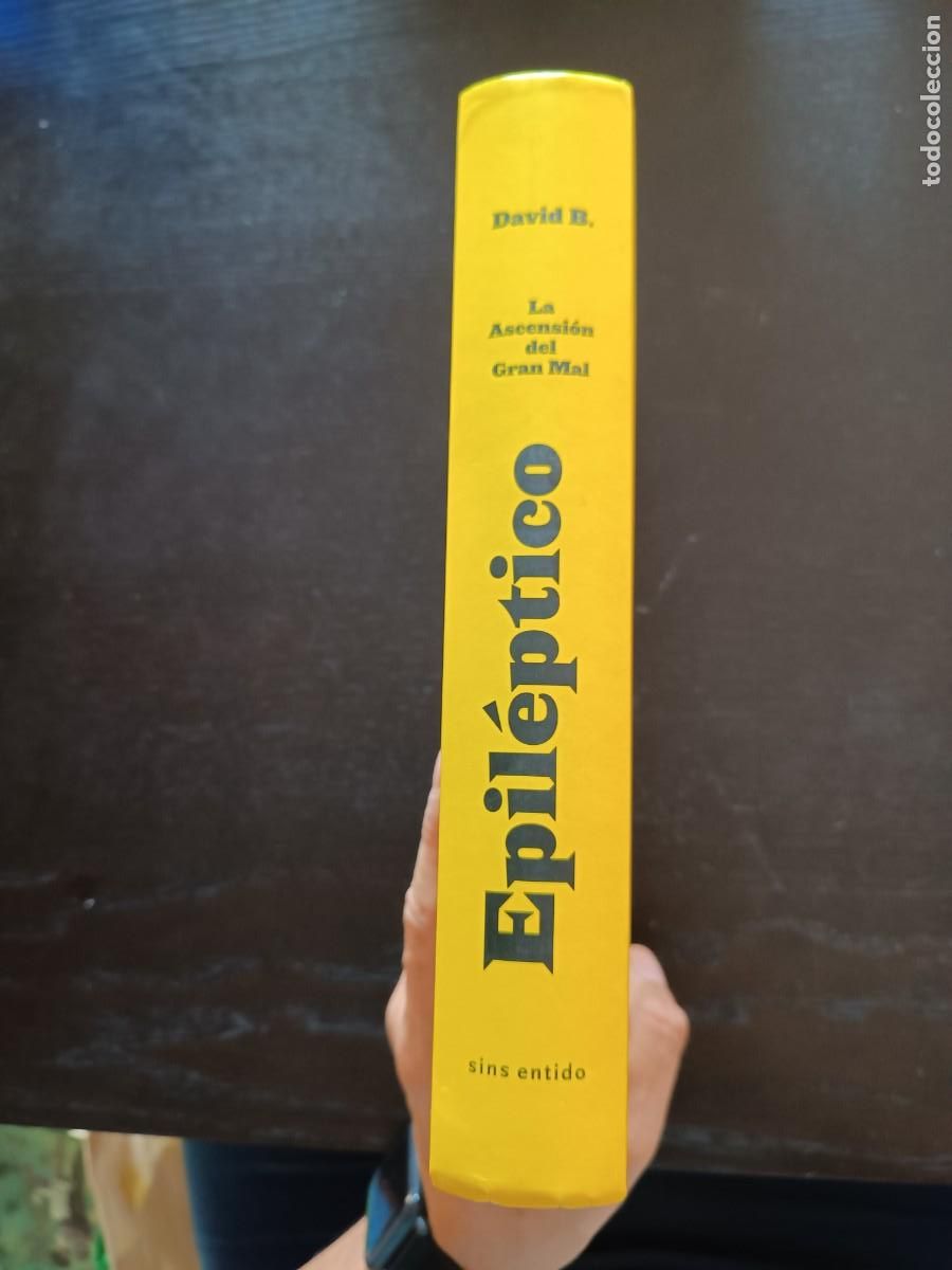 C&oacute;mics: Epil&eacute;ptico. La ascensi&oacute;n del Gran Mal - David B. Sins entido - Foto 3
