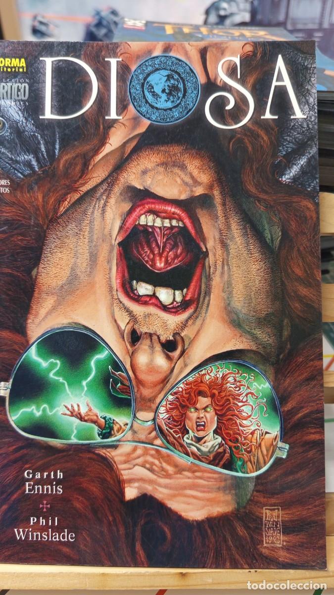 C&oacute;mics: DIOSA NORMA GARTH ENNIS - Foto 1
