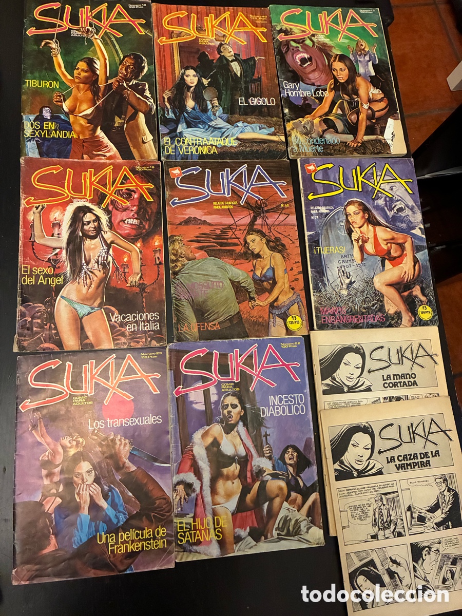 C&oacute;mics: Lote de 10 c&oacute;mic Sukia - Foto 1