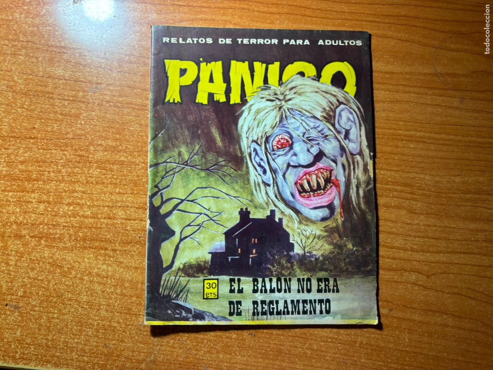 C&oacute;mics: PANICO N&ordm; 40 EDITORIAL VILMAR - Foto 1