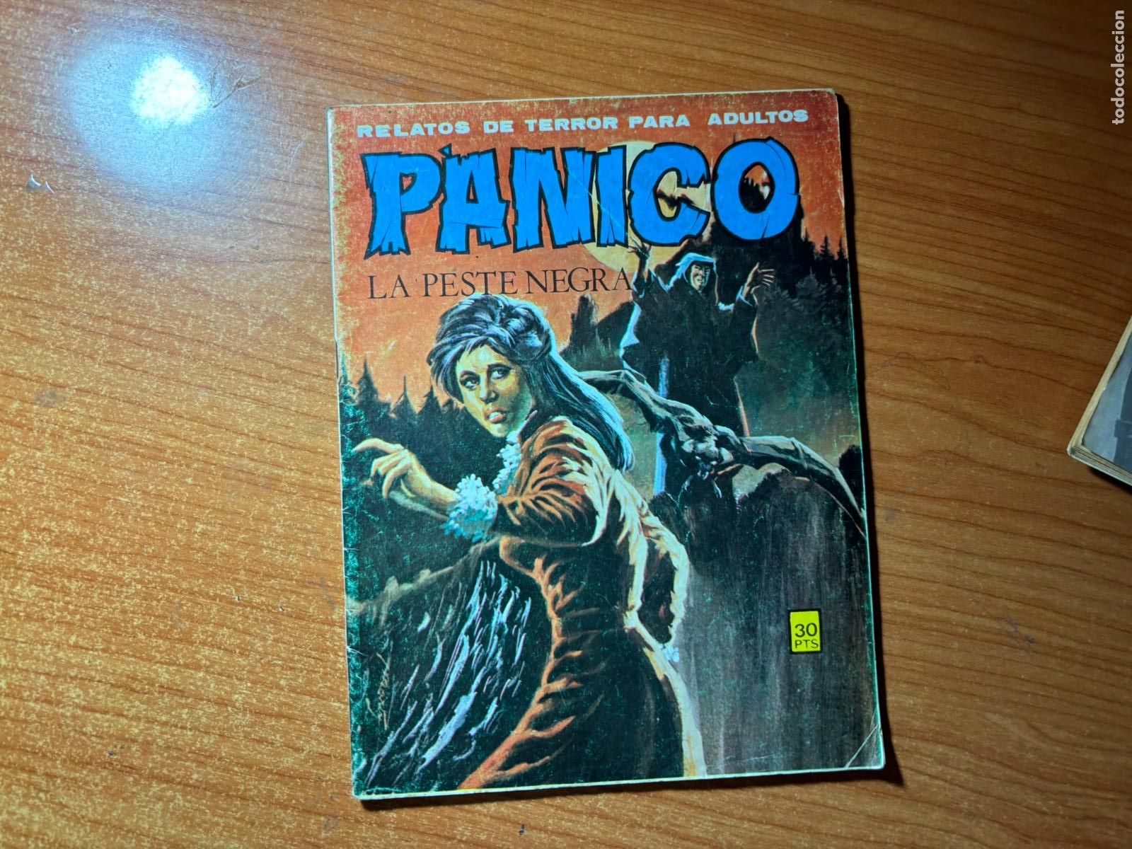 C&oacute;mics: PANICO N&ordm; 33 EDITORIAL VILMAR - Foto 1