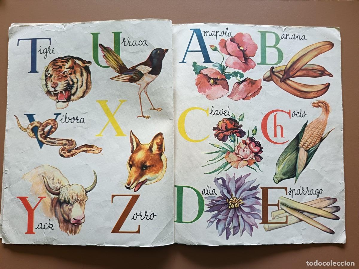 C&oacute;mics: ABC DE LA NATURALEZA- N-19 - 1951 - Foto 4