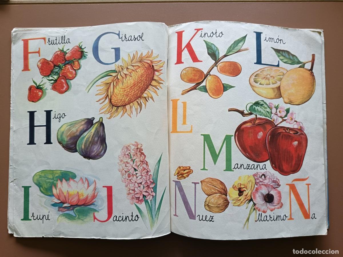 C&oacute;mics: ABC DE LA NATURALEZA- N-19 - 1951 - Foto 5
