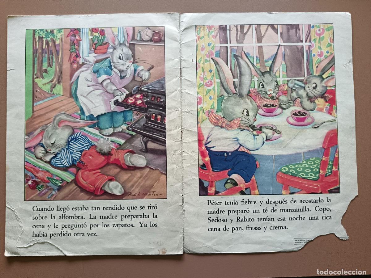 C&oacute;mics: EL CONEJITO PETER- MU&Ntilde;ECON DE R. E. NEWTON - Foto 6