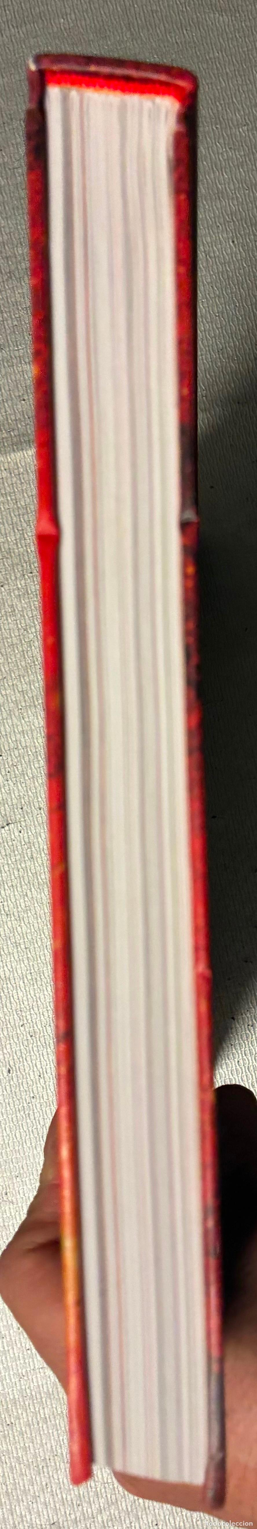 C&oacute;mics: EL FUEGO David Rubin - Foto 6
