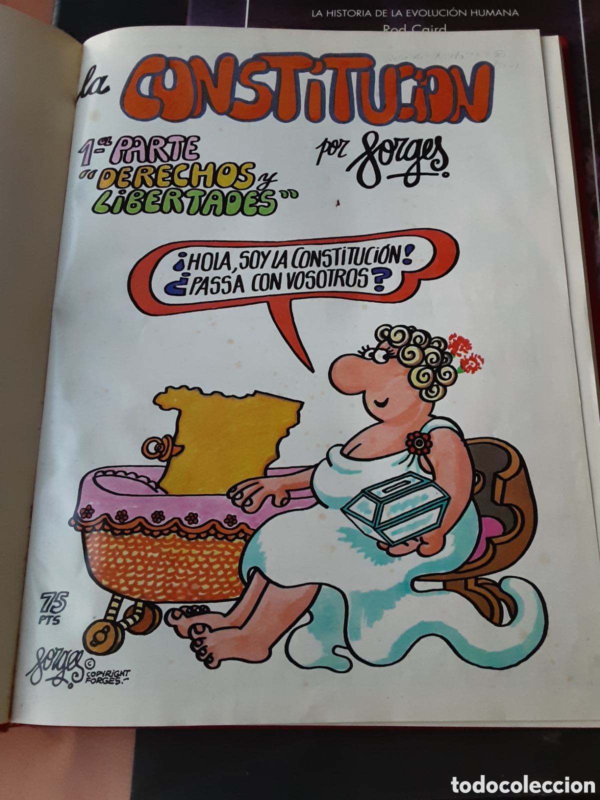 C&oacute;mics: La Constituci&oacute;n Espa&ntilde;ola seg&uacute;n Forges - Foto 2
