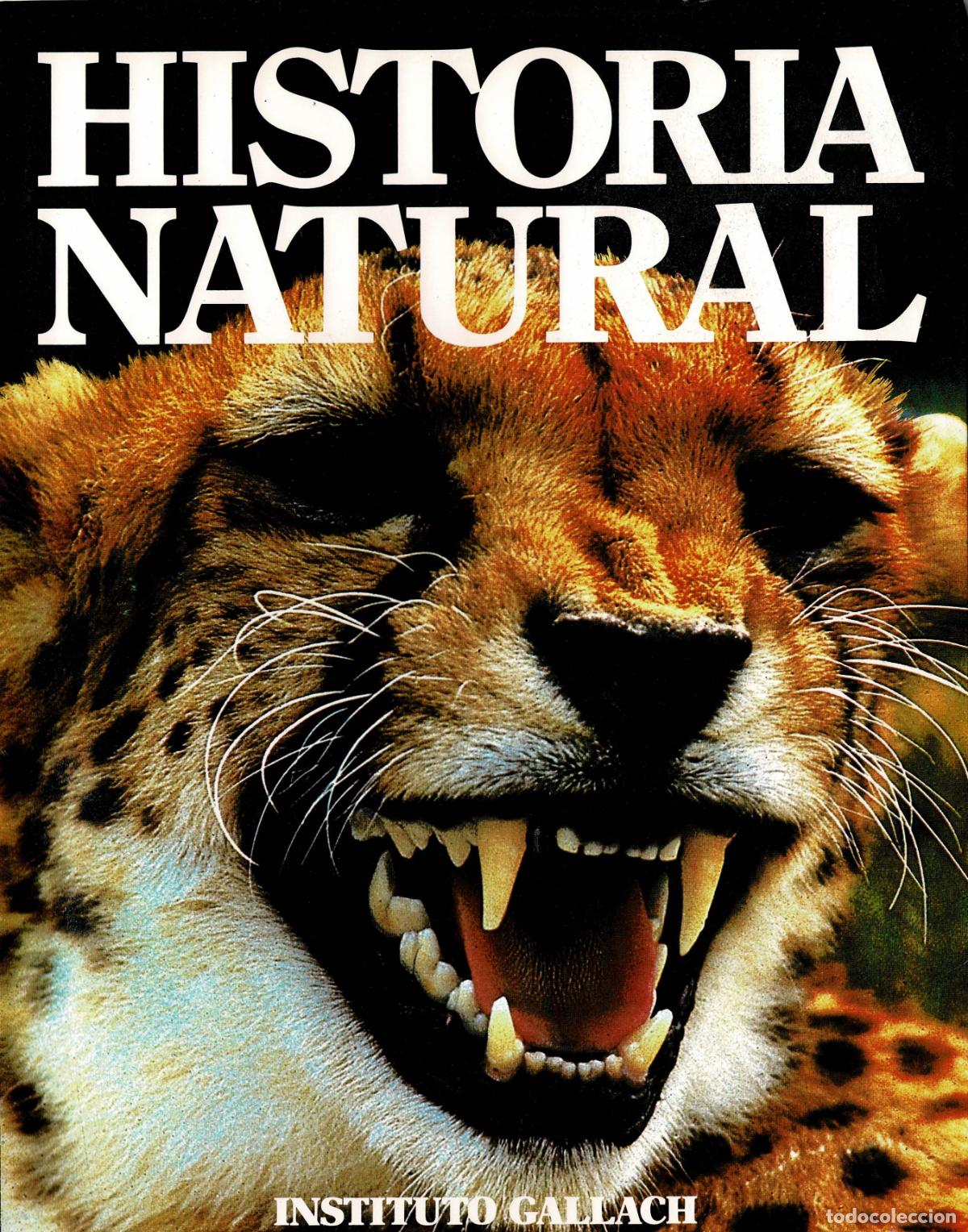 C&oacute;mics: Historia Natural. Instituto Gallach. 12 tomos - Foto 1