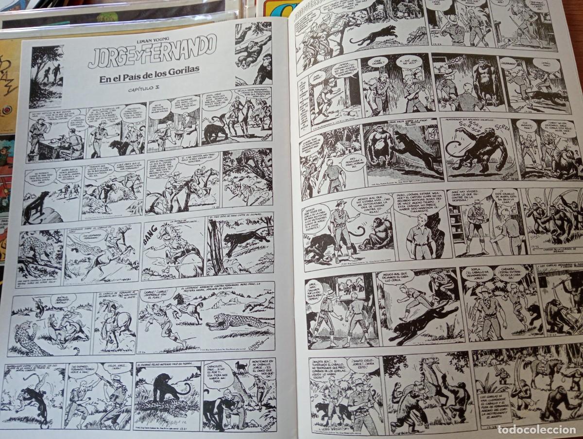 C&oacute;mics: COMPLETA. GRAN FORMATO. CL&Aacute;SICOS DEL C&Oacute;MIC. 13 EJEMPLARES. GRAPA. ED. COMPLOT. 1988. - Foto 22