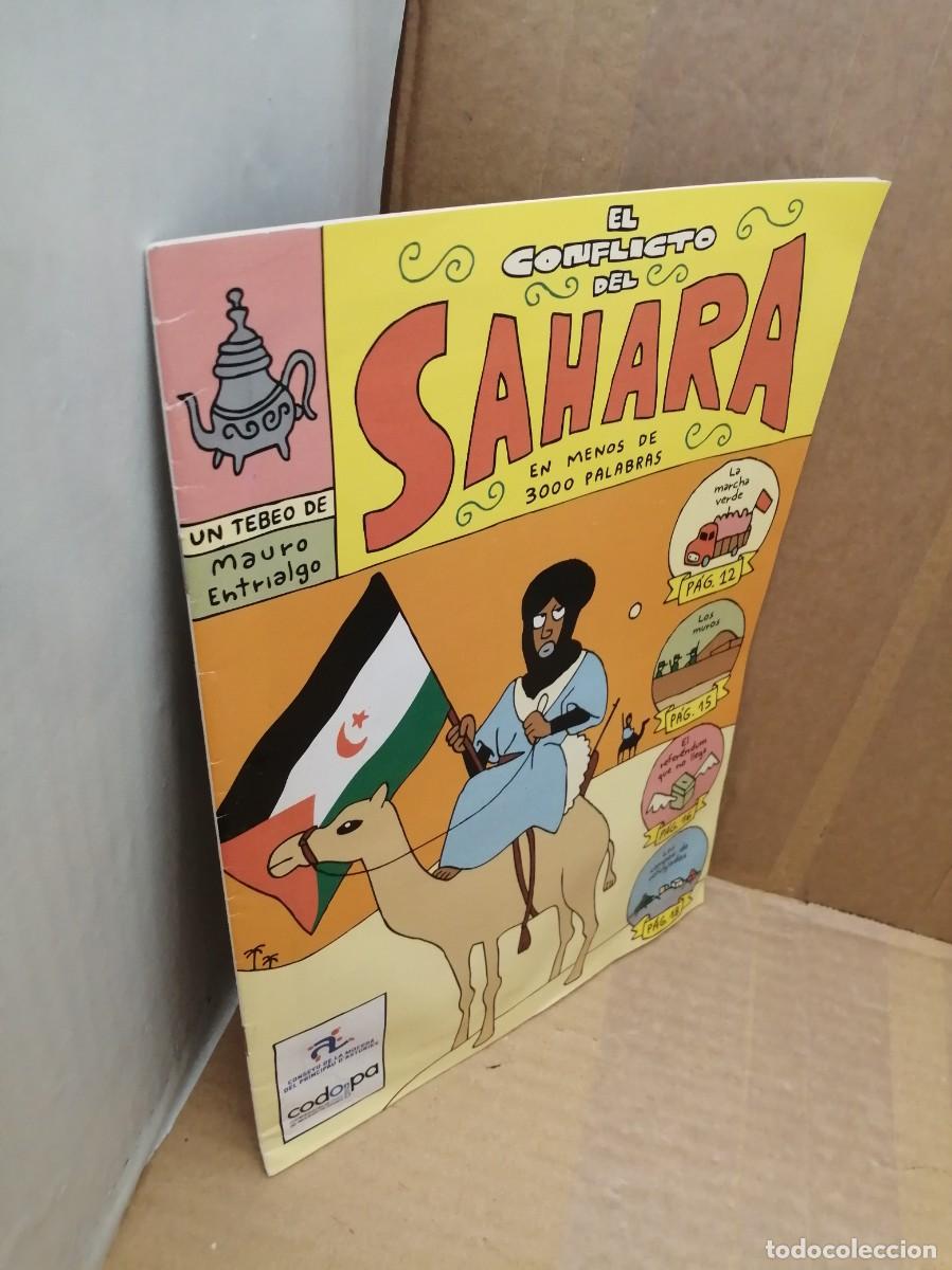 C&oacute;mics: El conflicto del S&aacute;hara en menos de 3000 palabras - Foto 3
