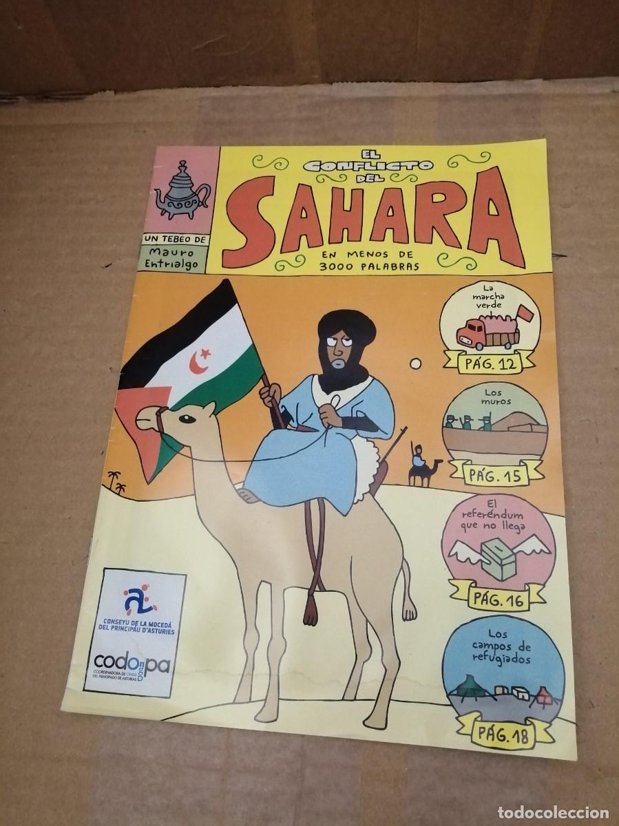 C&oacute;mics: El conflicto del S&aacute;hara en menos de 3000 palabras - Foto 1