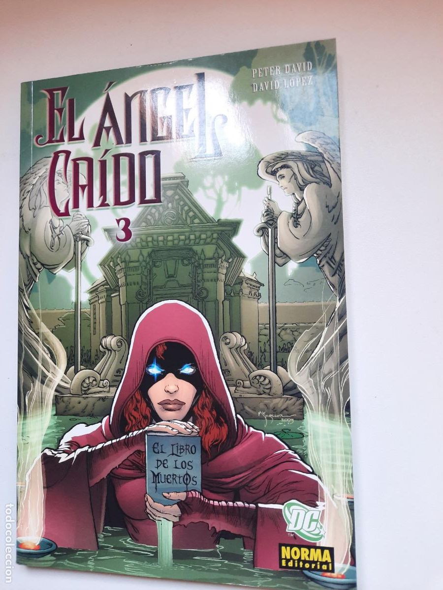 C&oacute;mics: EL &Aacute;NGEL CA&Iacute;DO N&ordm; 1 AL 5 - ED. NORMA - Foto 9