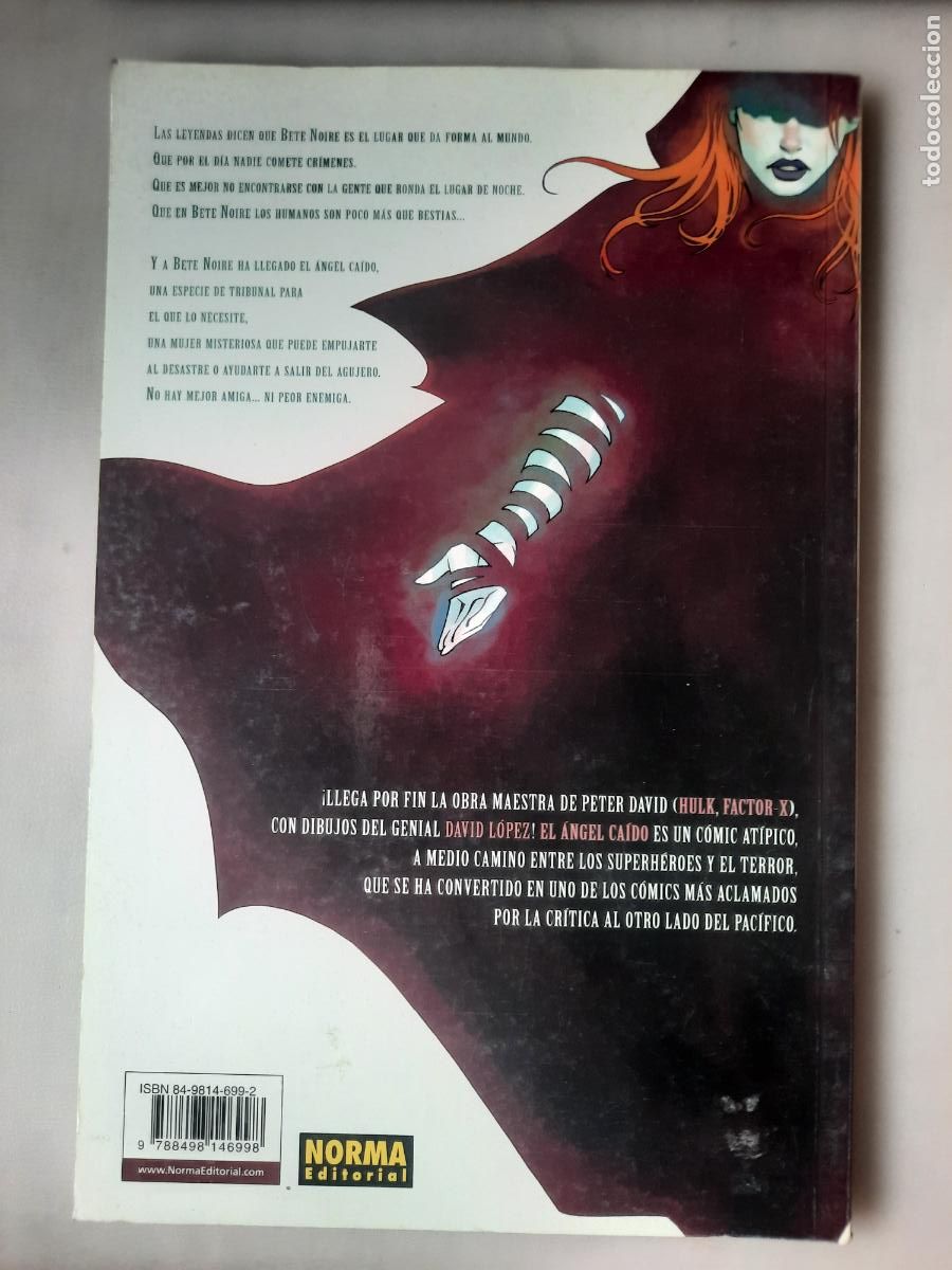 C&oacute;mics: EL &Aacute;NGEL CA&Iacute;DO N&ordm; 1 AL 5 - ED. NORMA - Foto 13