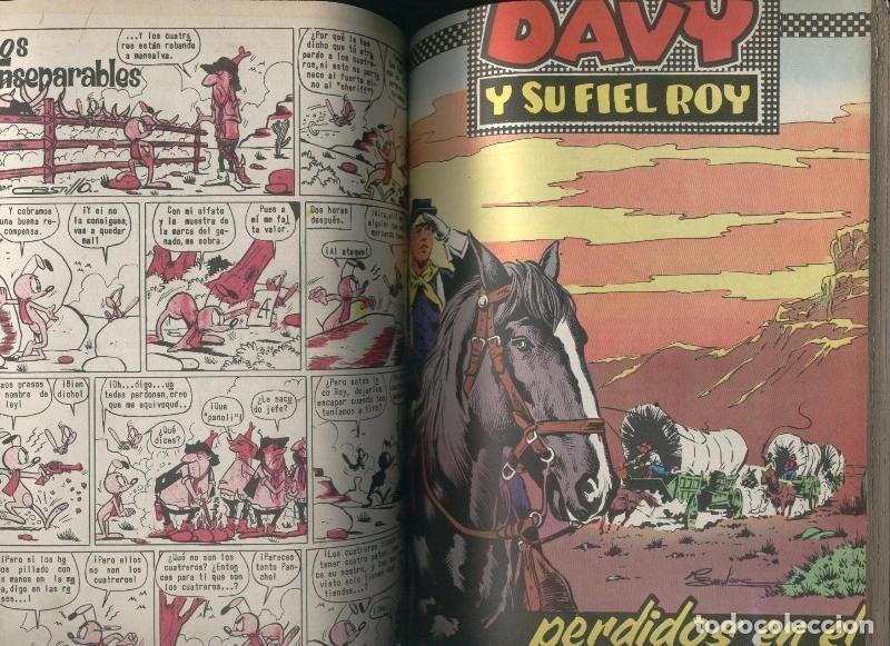 C&oacute;mics: Rin Tin Tin tomo numerado 3 - Varios - Foto 1