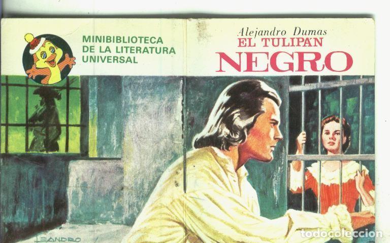 C&oacute;mics: El tulipan negro - Alejandro Dumas - Foto 1