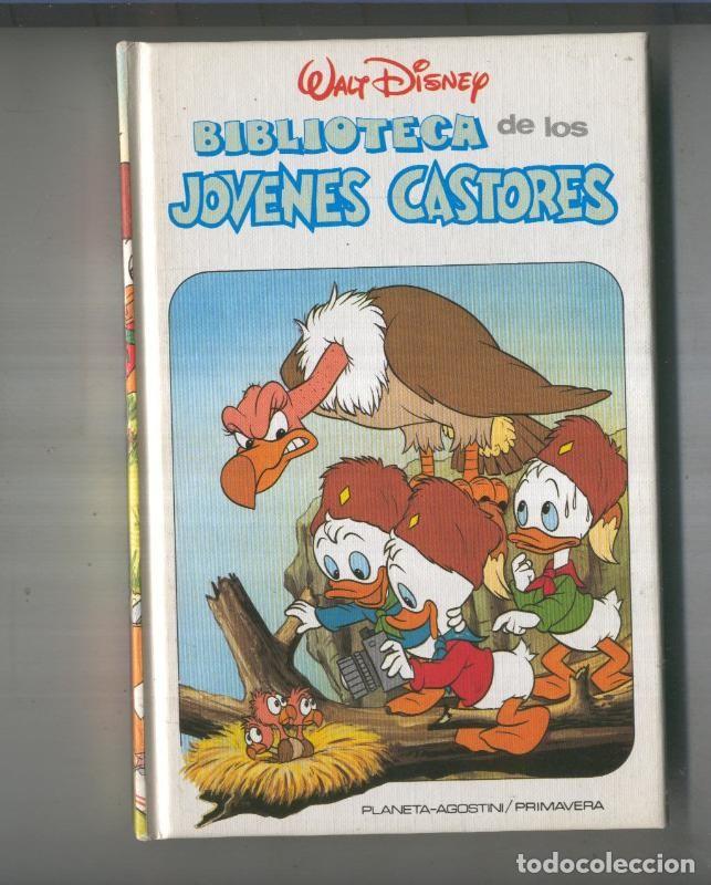 Fumetti: Biblioteca de los jovenes Castores, edicion 1984 numero 22 - Walt Disney