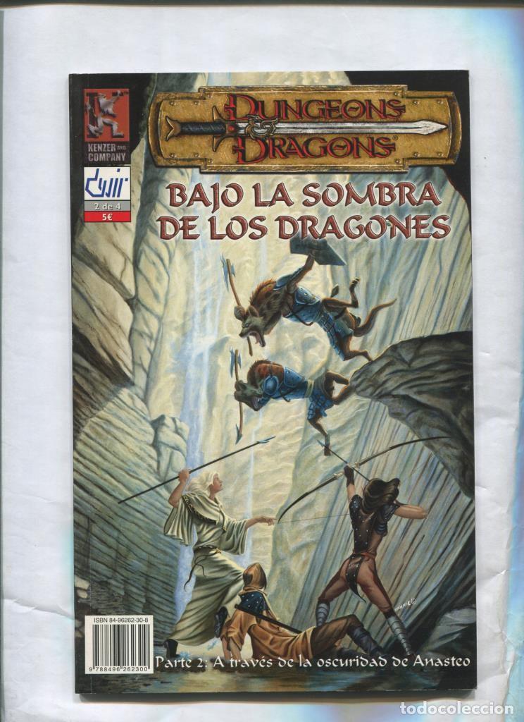 Comics: Dungeon Dragons: Bajo la sombra de los dragones numero 2 - Varios