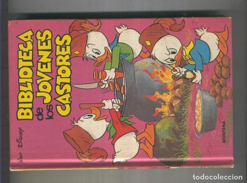 Comics: Biblioteca de los jovenes Castores, edicion 1984 numero13 - Walt Disney