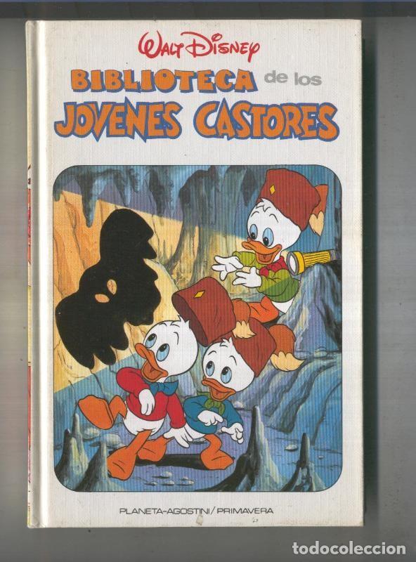 Fumetti: Biblioteca de los jovenes Castores, edicion 1984 numero 24 - Walt Disney