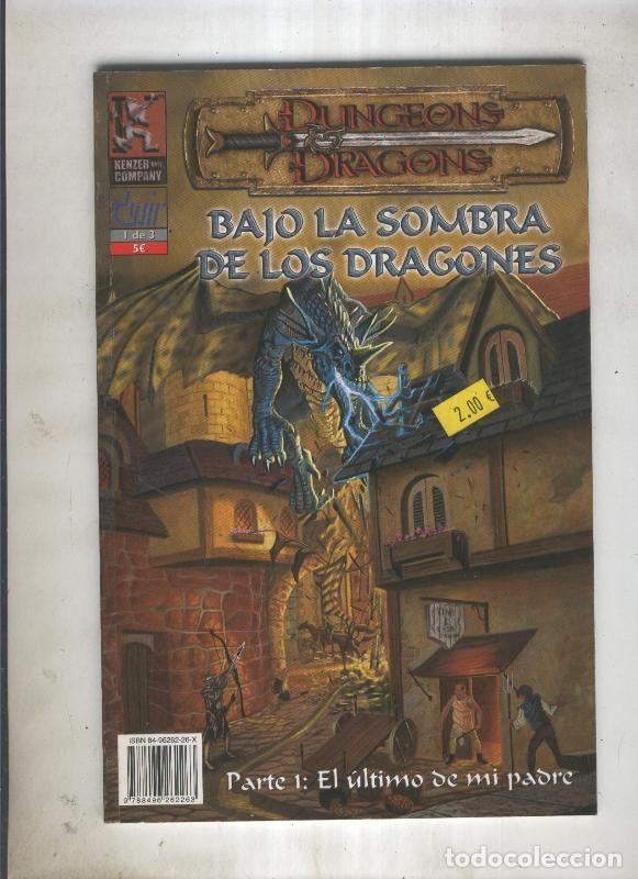 C&oacute;mics: Dungeos and dragons: Bajo la sombra de los dragones numero 1 - Varios