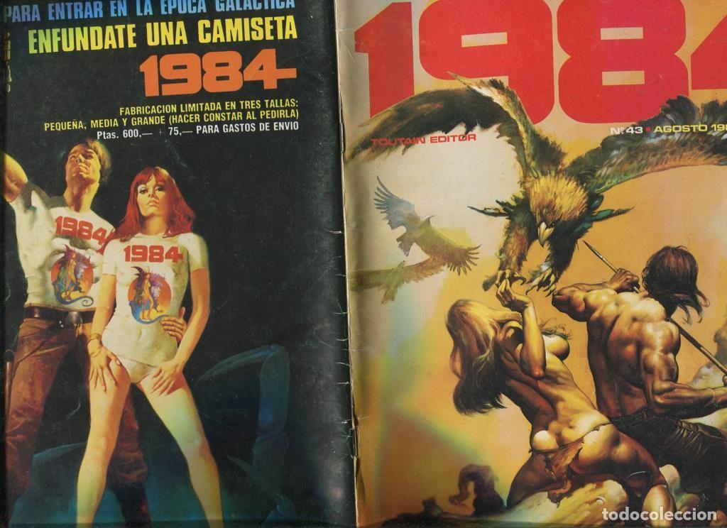 C&oacute;mics: 1984 revista de comics numero 43 - Varios - Foto 1
