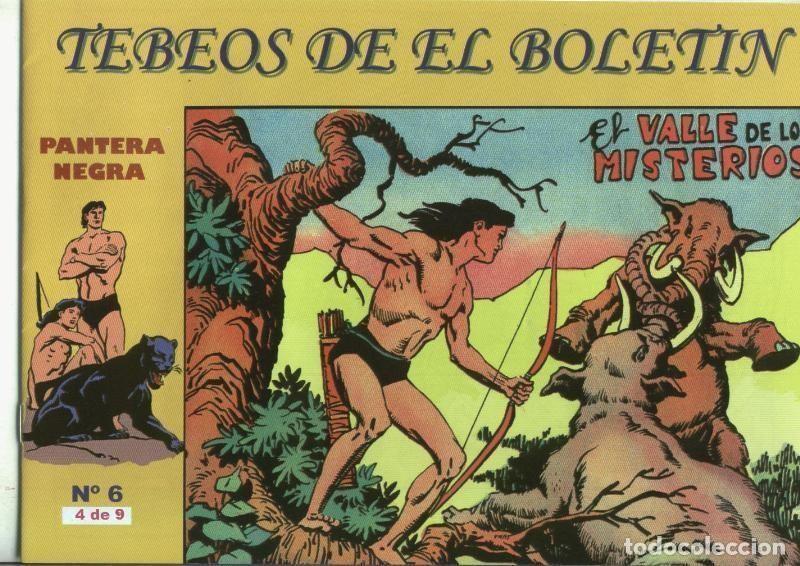 C&oacute;mics: Pantera Negra numero 4: El valle de los misterios - Varios - Foto 1