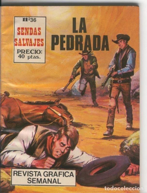 C&oacute;mics: Sendas Salvajes numero 36: la pedrada - Varios - Foto 1