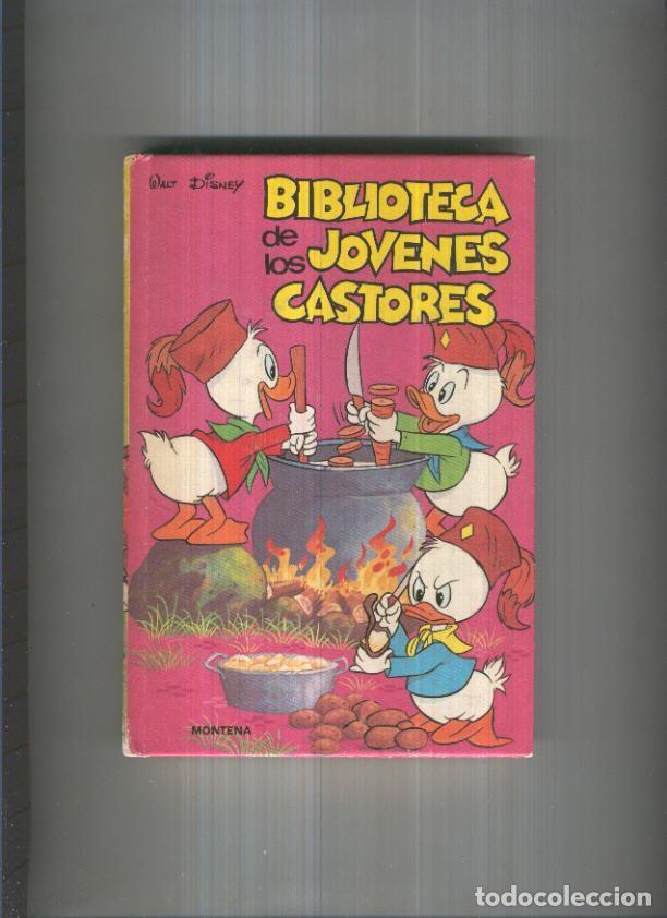 Comics: Biblioteca de los jovenes Castores, edicion 1984 numero 13 - Walt Disney