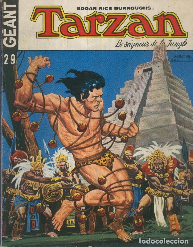 C&oacute;mics: TARZAN GEANT Sagedition, Numero 29: Perdus sur une Ile - Edgar Rice Burroughs - Foto 1