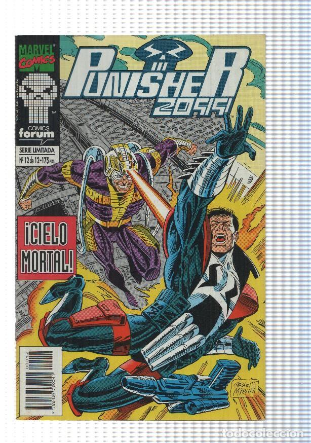 C&oacute;mics: Comics forum: Punisher 2099 num 12 de 12 - Cielo duro - Foto 1