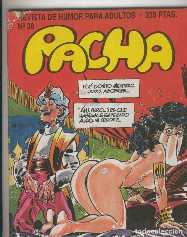 C&oacute;mics: Pacha numero 038: Easy Raider - Varios - Foto 1