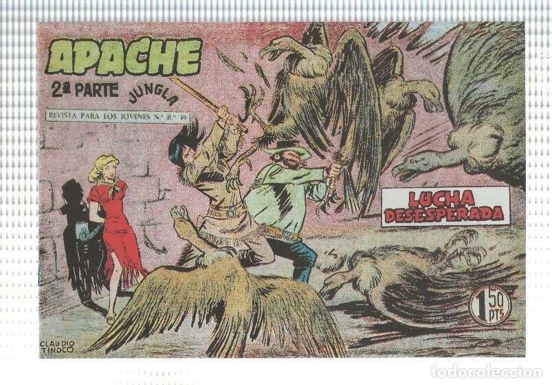 Comics: Facsimil: Apache segunda serie numero 27: Lucha desesperada - Claudio Tinoco