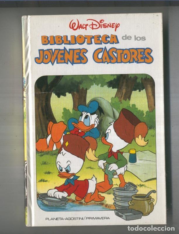 Comics: Biblioteca de los jovenes Castores, edicion 1984 numero 19 - Walt Disney