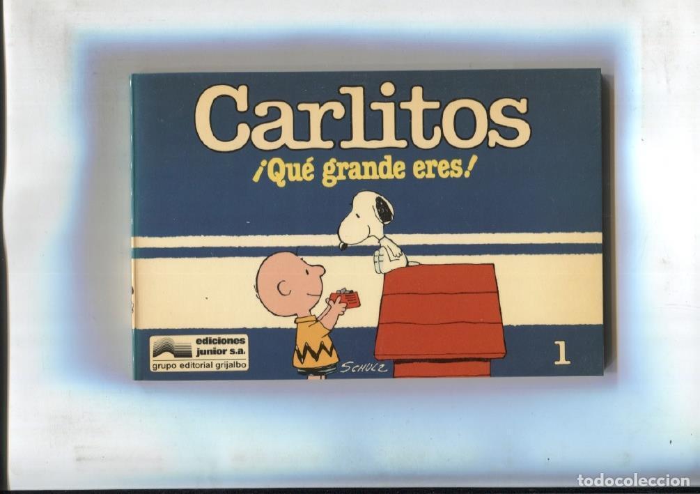 C&oacute;mics: Tomito: Carlitos numero 01: Que grande eres - Charles Schulz - Foto 1