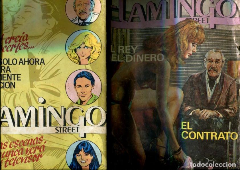 C&oacute;mics: Flamingo Street numero 03: (numerado 2 en interior cubierta) - Varios - Foto 1